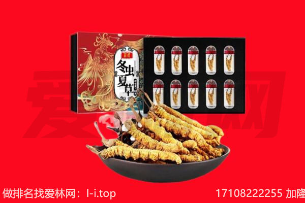 石嘴山平罗回收虫草.jpg
